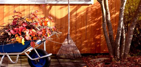 Autumn Home Maintenance 3 Essential Monthly Tasks Shw Blog
