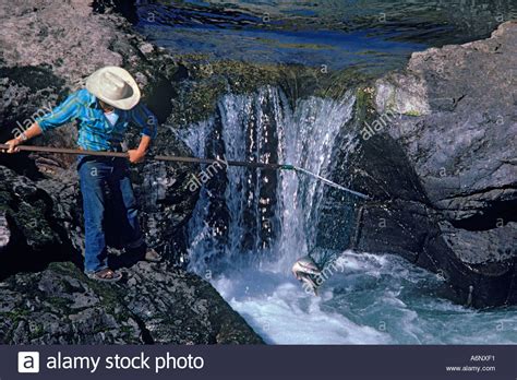 Aboriginal Fishing High Resolution Stock Photography And Images Alamy