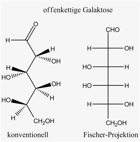 Galactose Open Chain Fischer Projection To Open Chain Free