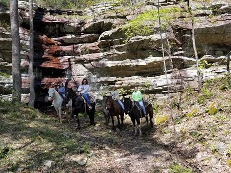 Horseback Riding In Mammoth Cave Adventures Of Mammoth Cave