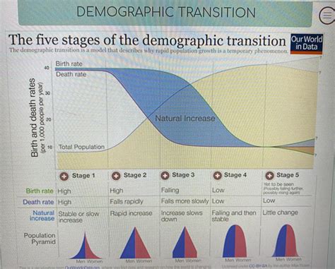 Stages Of Demographic Transition Demographic Transition 2022 10 25