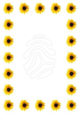 Borders border width border color border sides border shorthand rounded borders. Boarder clipart sunflower, Boarder sunflower Transparent ...