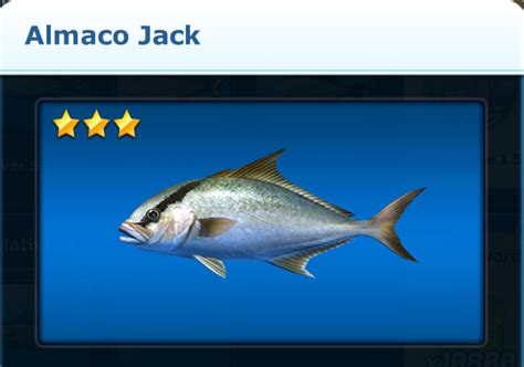 Almaco Jack Ace Fishing Wiki Fandom