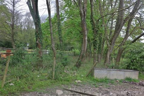 Copse By Partingdale Lane Mill Hill © David Howard Cc By Sa20 Geograph Britain And Ireland