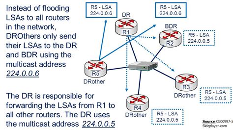Ospf Dr And Bdr Election Explained With Configuration Learn Duty