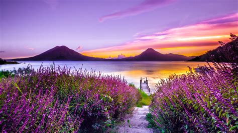 Volcano Sunset Flower Purple Dreamy Landscape 4k 5k Sunset