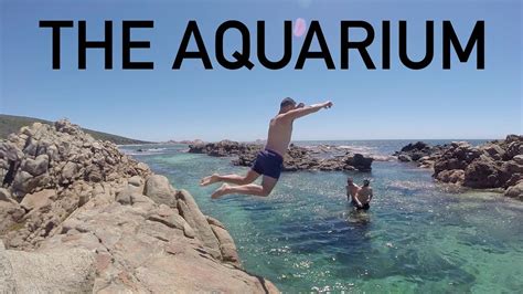 The Aquarium Yallingup Youtube