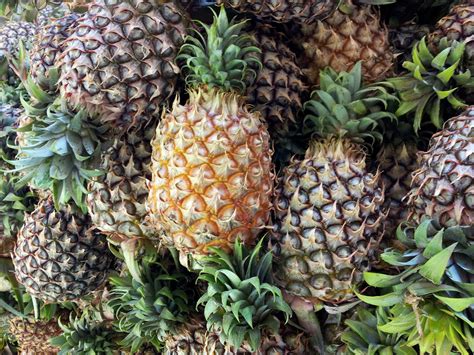 Pineapple Pile Up Free Stock Photo Public Domain Pictures