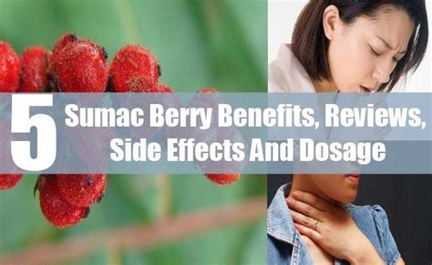 Sumac Berry Benefits Reviews Side Effects And Dosage Benefits Of
