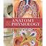 Pocket Anatomy & Physiology  Book By Ken Ashwell PhD Official