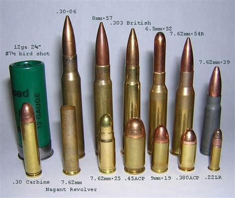 Vintage Outdoors Some Of The Most Common Ammunition Compared In Size