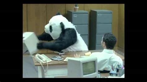 Panda Thug Life Youtube
