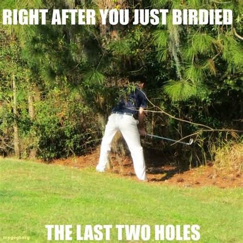 45 Top Golf Meme Images And Amusing Jokes Photos Quotesbae