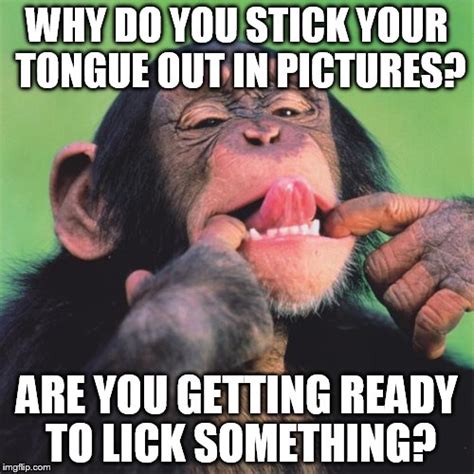 Monkey Tongue Imgflip