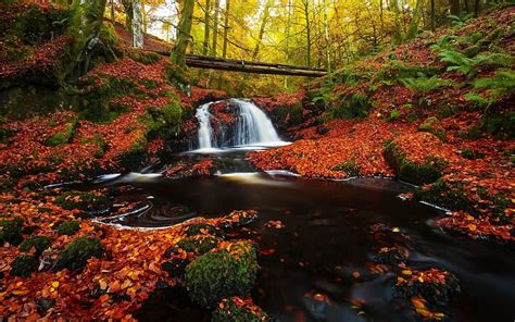 Waterfall In Autumn Forest Bright Waterfalls Autumn Foliage Hd