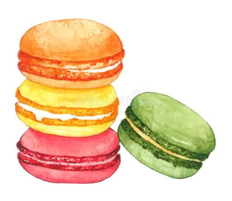 Watercolor Macaroon On White Background Stock Photo Illustration Of