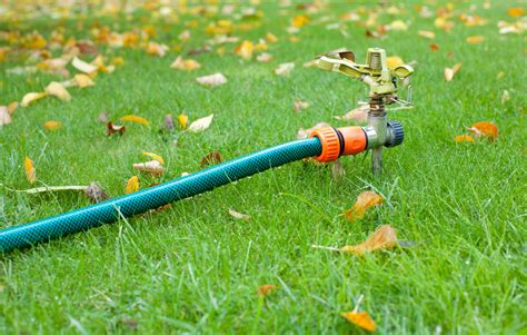 5 Ways To Save Water This Fall Aquarius Water Conditioning