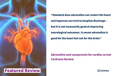 Featured Review Adrenaline And Vasopressin For Cardiac Arrest Cochrane