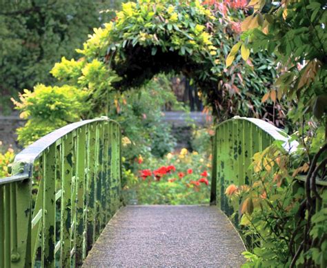 National Botanic Gardens Glasnevin Dublin Ireland Murt Phillips Flickr