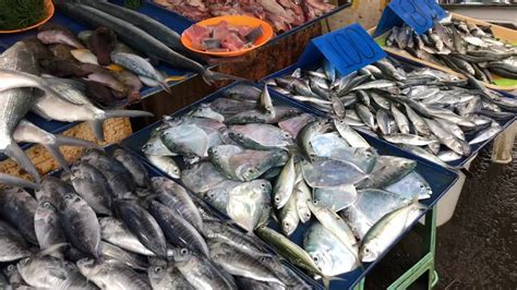 Panabo Fish Marketsarap Ng Mga Sariwang Isda Youtube