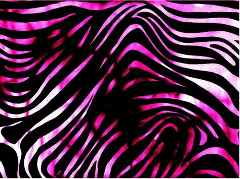 Zebra Print Wallpaper Hd Pixelstalknet