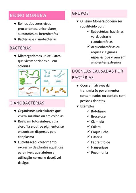 Biologia Google Drive Procariontes Reino Monera Fluxo Vrogue Co