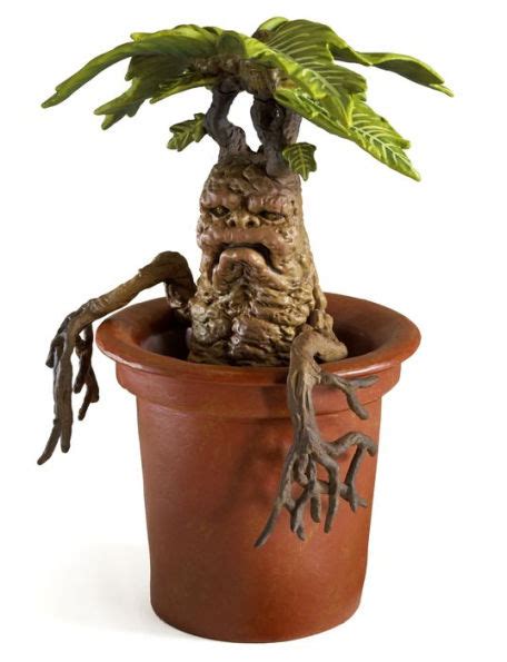 By george chrysostomou published aug 26, 2020 the harry potter universe has a wide variety of fauna and flora. HARRY POTTER MANDRAKE MAGICAL CREATURES COLLECTORS ...