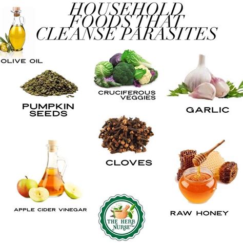 How To Cleanse Parasites Naturally