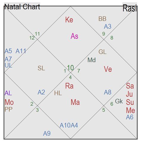 How To Read D60 Chart In Vedic Astrology Chart Examples