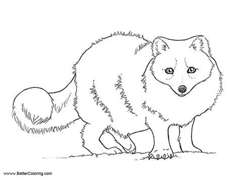 Arctic Tundra Animals Coloring Pages Arctic Fox Free