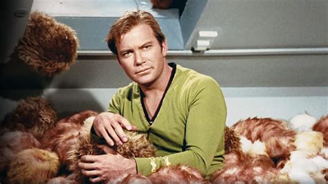 Star Treks Fuzzy And Adorable Menaces The Tribbles Explained