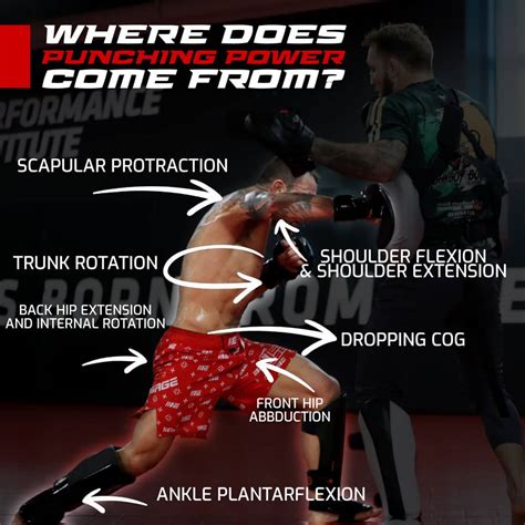 Developing Punching Power 1 Lower Extremity Engage