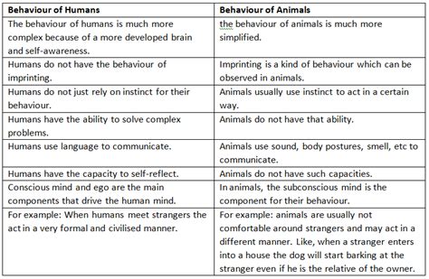 Top 111 Animal And Human Behavior Similarities