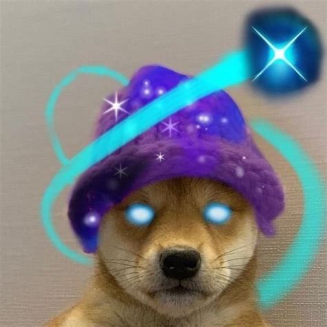 A Dog Wearing A Purple Hat With Blue Eyes And Stars On Its Forehead