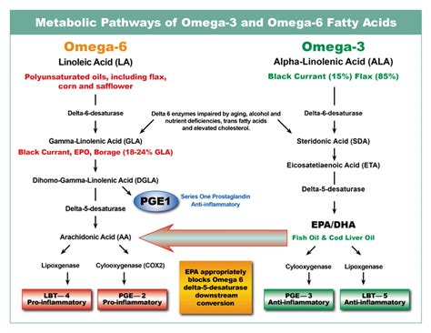 Essential Fatty Acids Definition And Notes In Biology