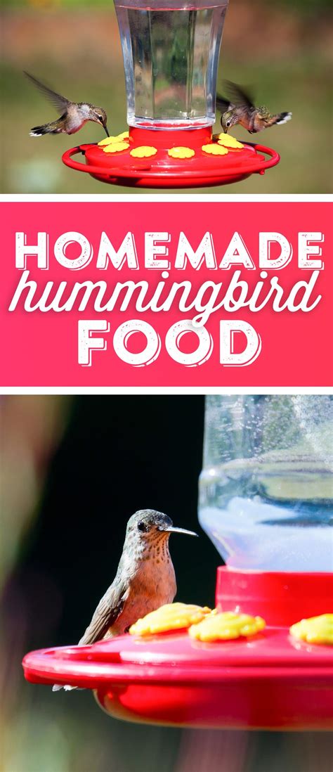 We did not find results for: Hummingbird Food Recipe | Recipe | Hummingbird food ...