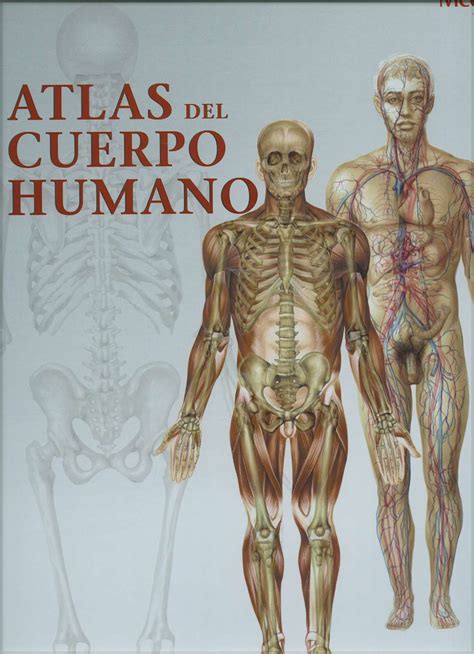 Atlas Del Cuerpo Humano Medillust