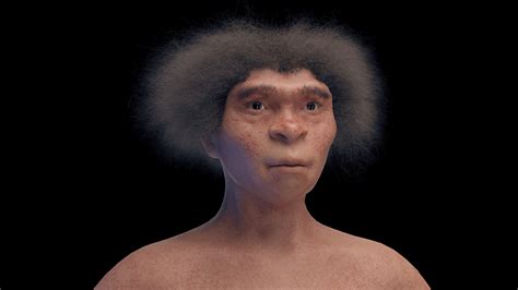 Homo Erectus Female D Model Turbosquid