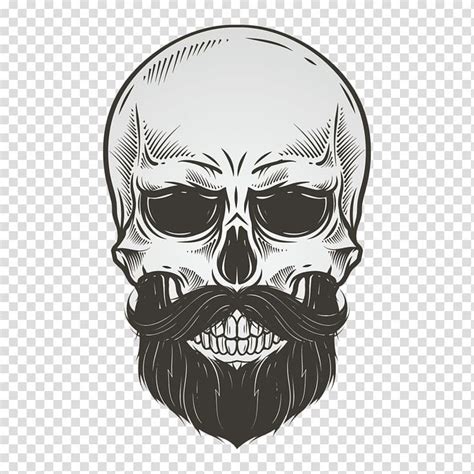 Skull Beard Drawing Illustration Bearded Skull Gray Skeleton Skull