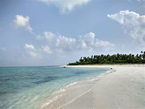 The 10 Best Hotels In Lakshadweep India For 2021 With Prices