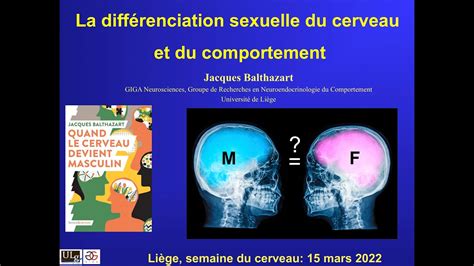differenciation sexuelle du cerveau et comportement youtube