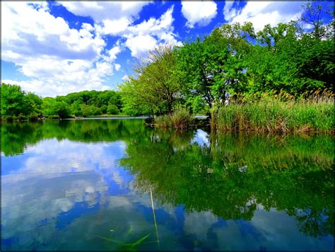 Wallpaper Landscape Lake Reflection Grass Sky Calm Green River