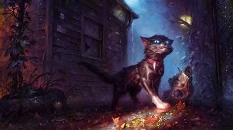 Fantasy Cat Hd Wallpaper By Jędrzej Chełmiński