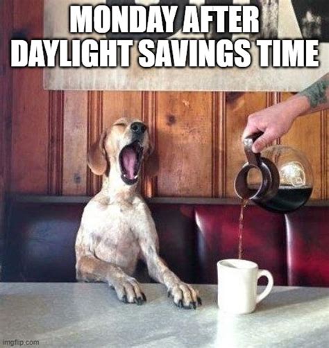 Monday After Daylight Savings Time Imgflip