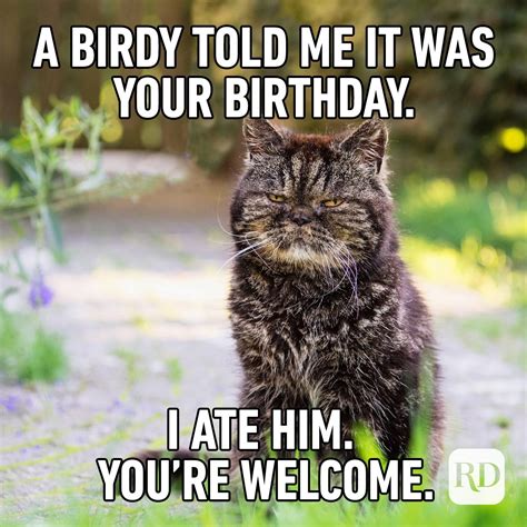 40 Of The Funniest Happy Birthday Memes Reader S Digest
