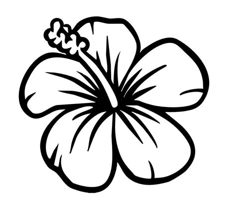 Black And White Flower Clipart 20 Free Cliparts Download Images On