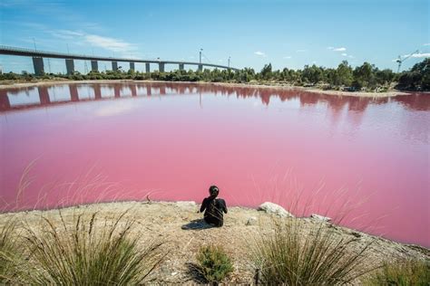 Why Australia Has So Many Pink Lakes — And Why Some Of