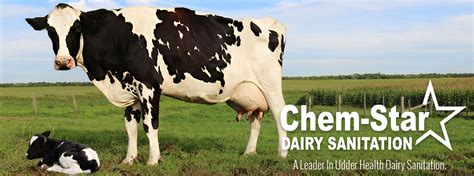 Chem Star Meda Of Wisconsin Udder Health Teat Dips Quality Milk