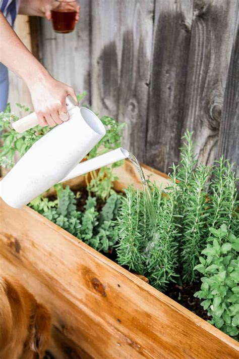 Diy Wooden Herb Garden Planters For Less Than 100