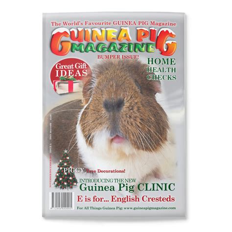 Issue 5 Print Only Guinea Pig Magazine